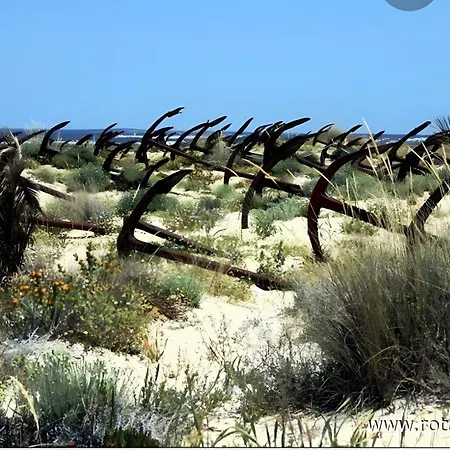 T0 Pedras Del Rei Sao Pedro (Algarve)