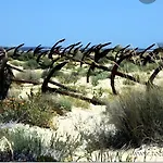 T0 Pedras Del Rei Sao Pedro (Algarve)